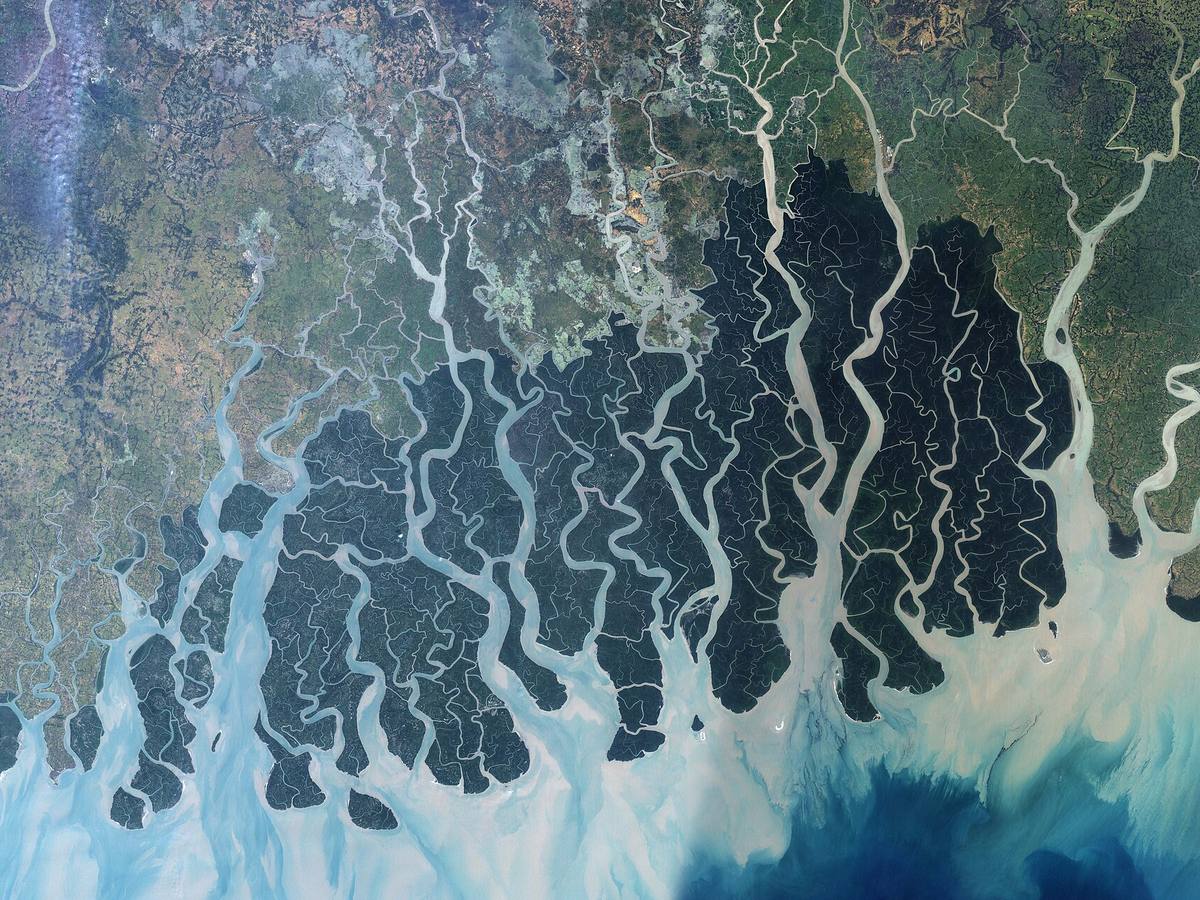 The Sundarbans coast, seen from space